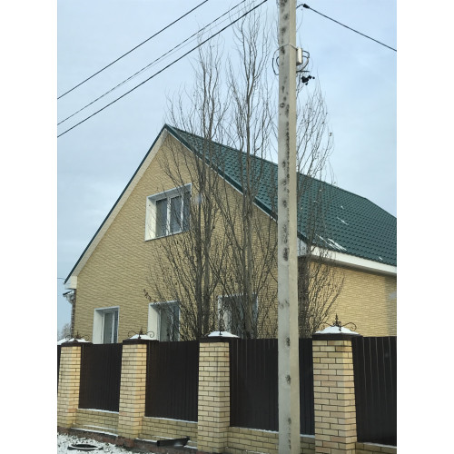 Фасадная панель Stern, Антик