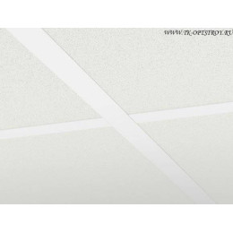 G35136411 Потолочная плита Hygiene (Хайджин) Performance А 600x1200x40