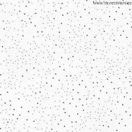 Потолочная плита Feingelocht VT-24 600x600x15 (Файнгелохт)