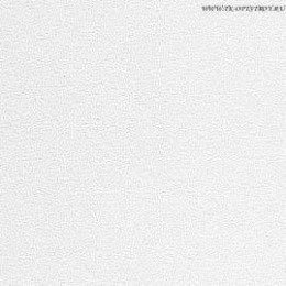 Потолочная плита Hygienic A24 (Гигиеник) 1200x600x20