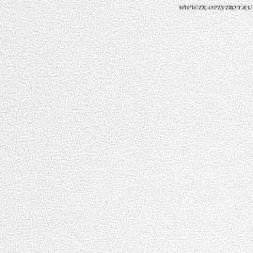 Потолочная плита Hygienic A24 (Гигиеник) 1200x600x20